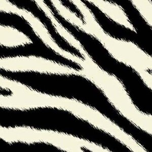Zebra Fabric By The Yard