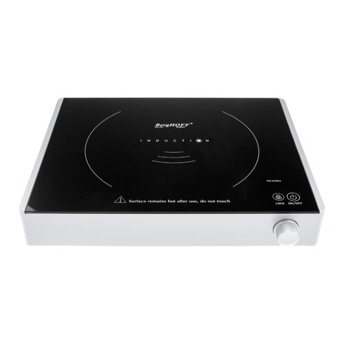 buy induction hot plate