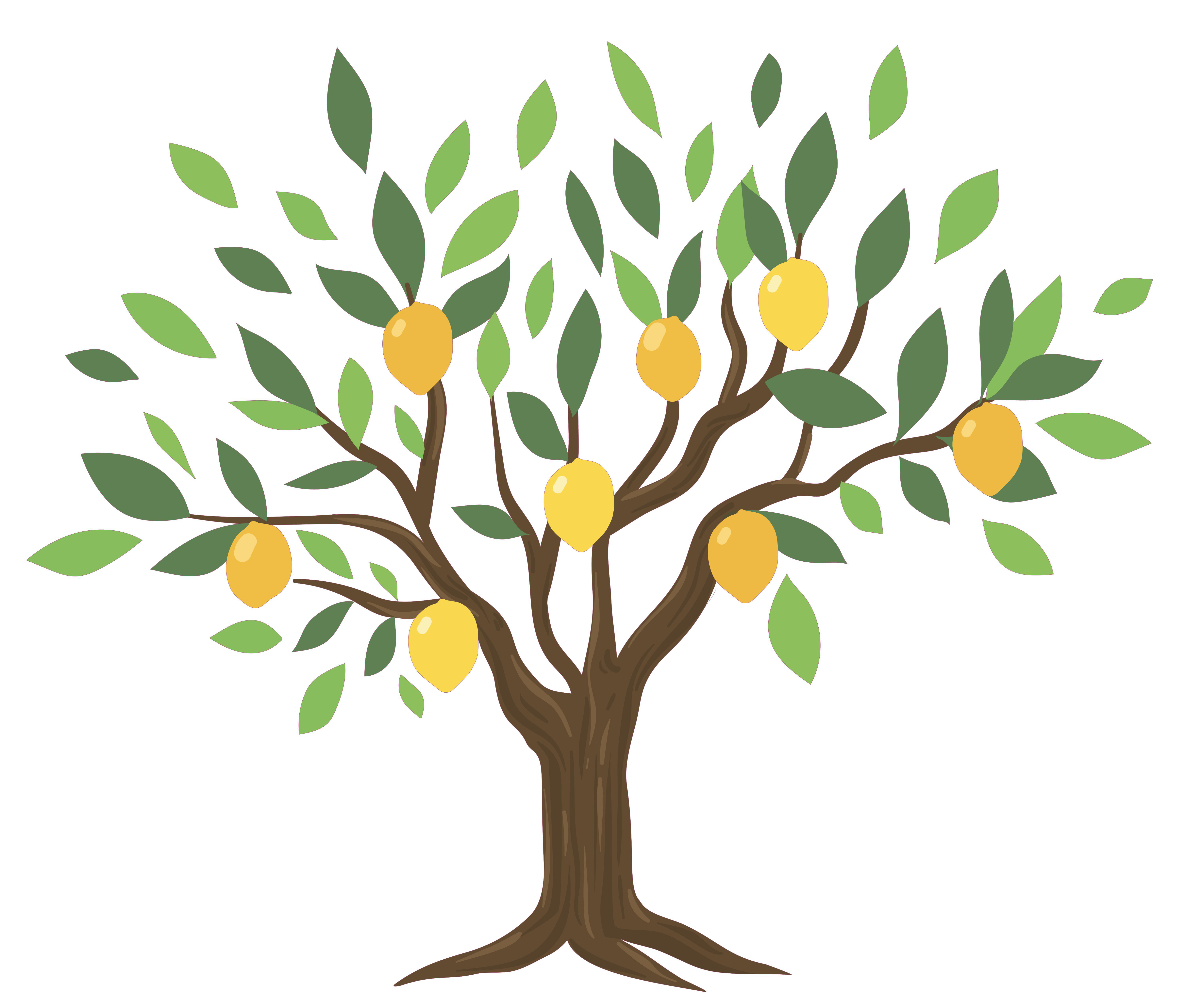 Gracie Oaks Lemon Tree Wall Decal Wayfair