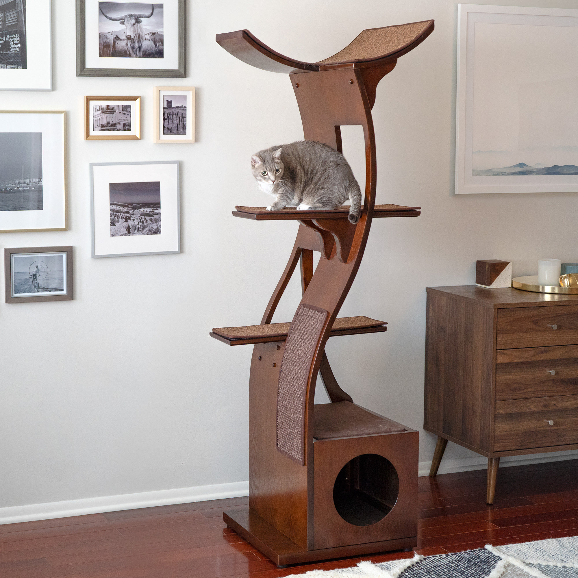 cat treat tower