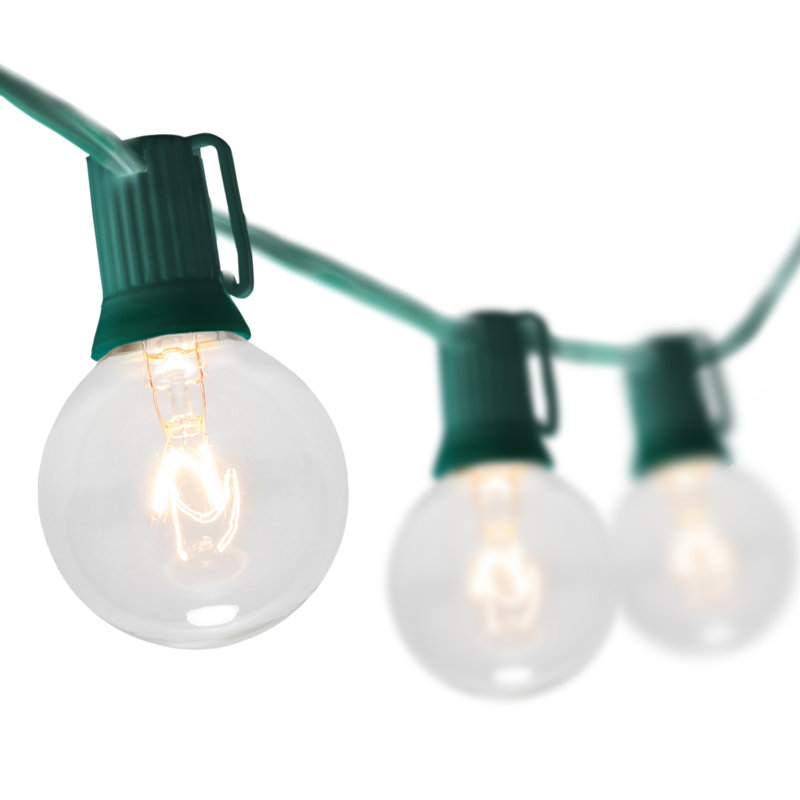 String Light Company Party Light 100-Ft Globe String Lights with 98 Sockets and 98 Clear G40 Bulbs 18 Gauge Green Cord
