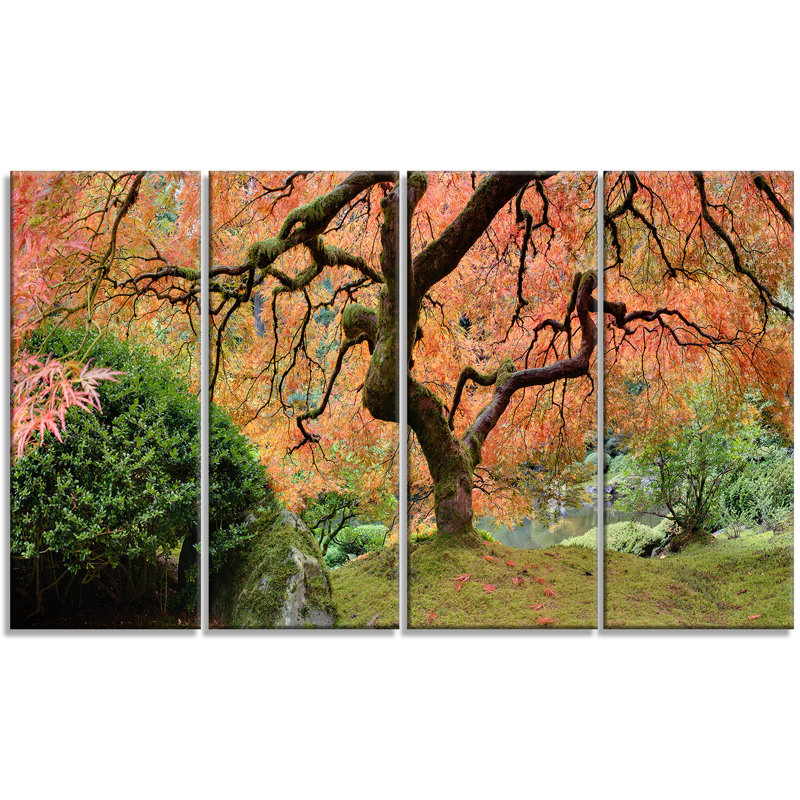 Designart Old Japanese Maple Tree Landscape 4 Piece Photographic Print On Wrapped Canvas Set Wayfair