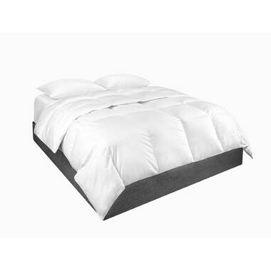 calvin klein all season down alternative comforter