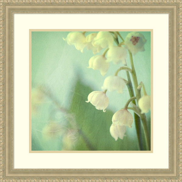 Darby Home Co Lily Of The Valley Picture Frame Photograph Wayfair
