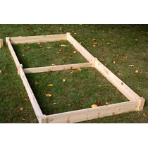 August Grove Goree Greenhouse 3 ft x 2 ft Solid Wood Raised Garden