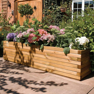 Wood Planters You Ll Love Wayfair European Pine Wood Planter Box