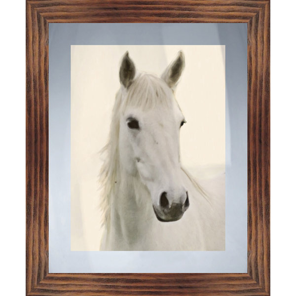 PTM White Horse - Picture Frame Print on Paper | Wayfair.ca