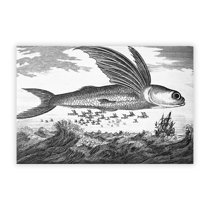 Fly Fishing Wall Art Wayfair Co Uk
