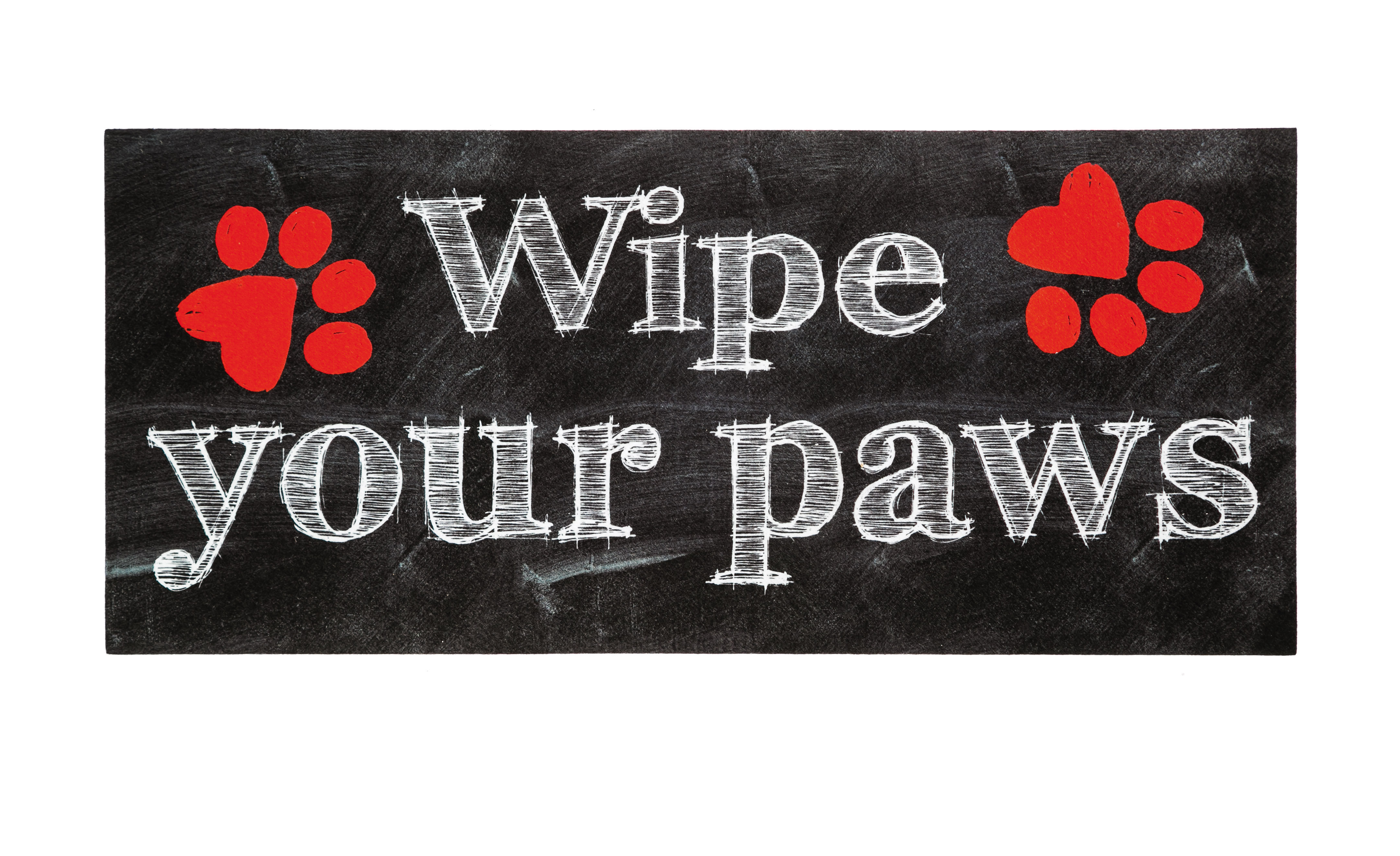 Andover Mills Mojica Wipe Your Paws Sassafras 22 In X 10 In Non