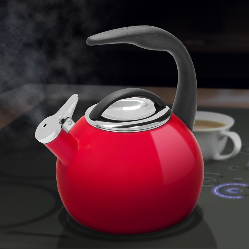 stainless steel stovetop tea kettle