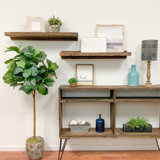Farmhouse Country Wall Shelves Birch Lane
