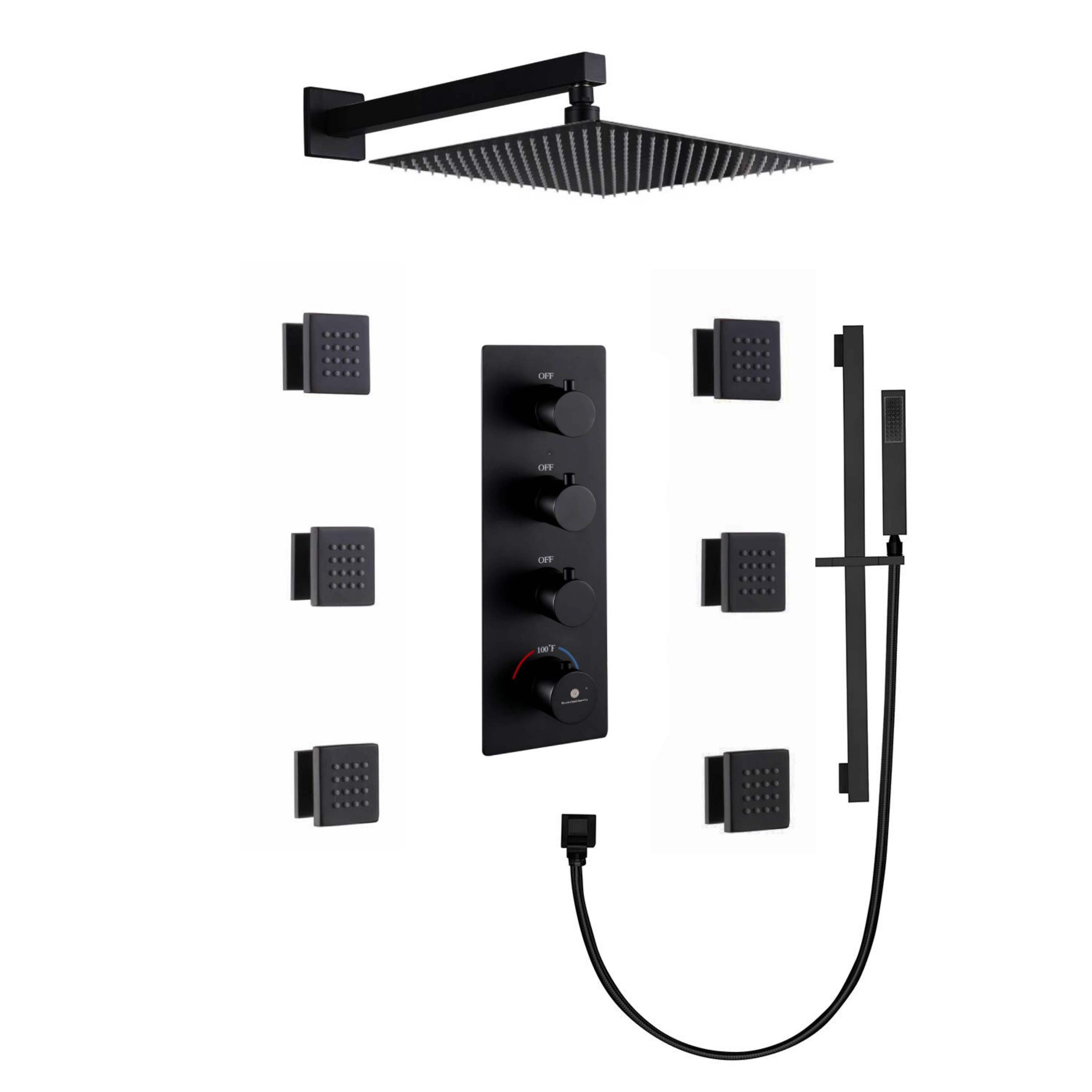 Wonderland America Shower Faucet With Rough in Valve Wayfair