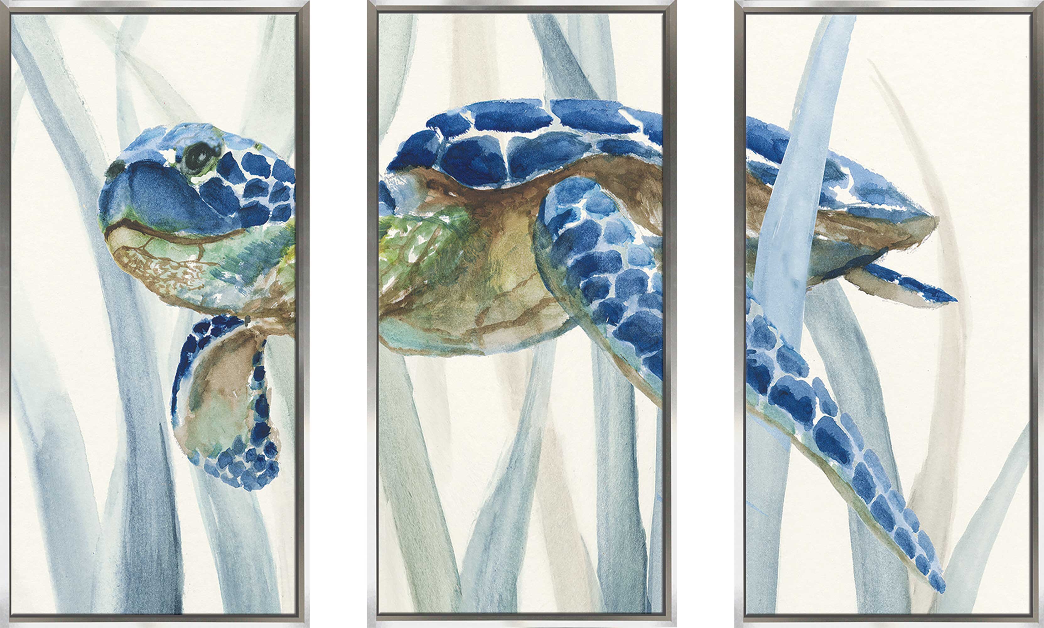 PicturePerfectInternational Turtle In Seagrass II by Nan - 3 Piece ...