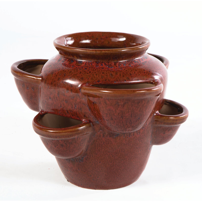 World Menagerie Senter 6 Pocket Strawberry Ceramic Pot