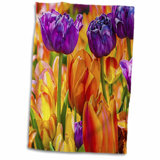 Microfiber Orange Kitchen Towels You Ll Love In 2021 Wayfair