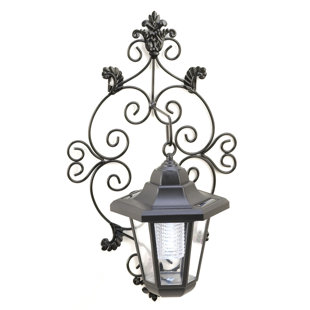 Best Trellis 1-Light Outdoor Wall Lantern By Zingz & Thingz Outdoor Lighting Trellis 1-Light Outdoor Wall Lantern By Zingz & Thingz Outdoor Lighting