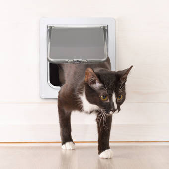 Langria Interior 4 Way Locking Cat Door Reviews Wayfair