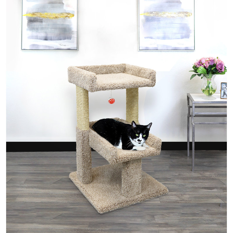 New Cat Condos 32 Carpeted Solid Wood Cat Tree Reviews Wayfair
