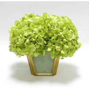 Hydrangea Floral Arrangement in Pot