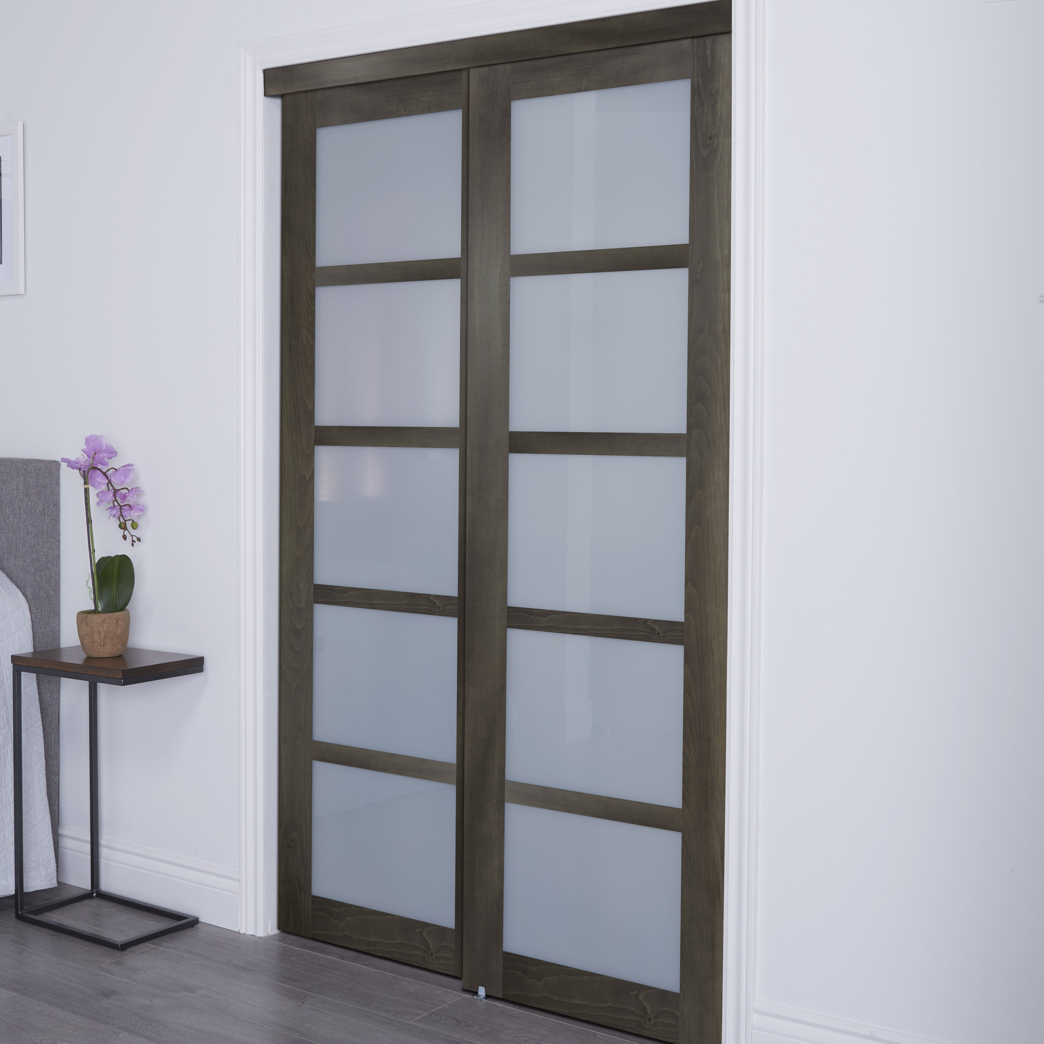 Erias Home Designs Baldarassario Glass Sliding Closet Doors With