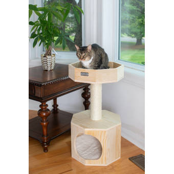 Tucker Murphy Pet 23 Marius Cat Tree Reviews Wayfair