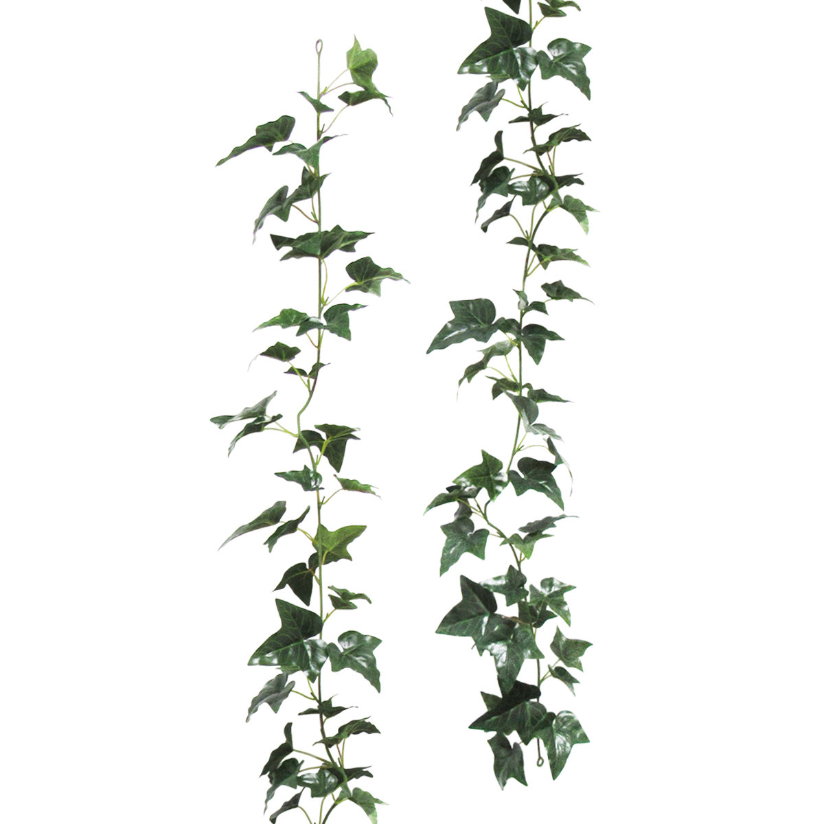 Primrue 5 8 English Ivy Leaf Garland Reviews Wayfair
