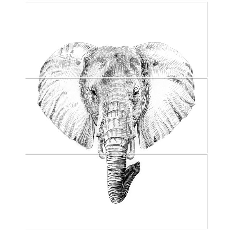 East Urban Home Pencil Elephant Sketch In Black And White Oil