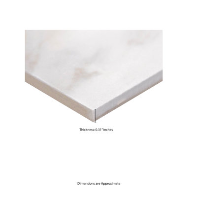 Adella 12" x 24" Matte Ceramic Wall and Floor Tile