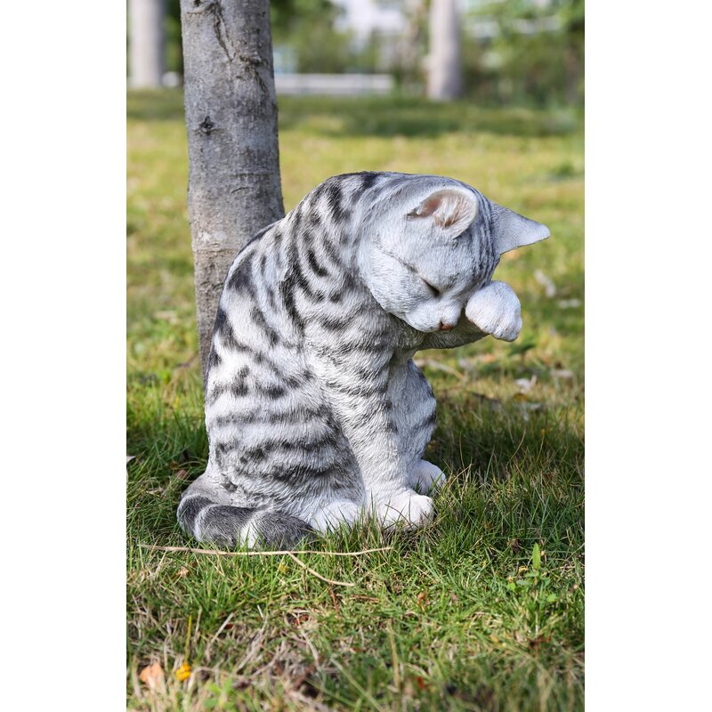 grey tiger tabby cat