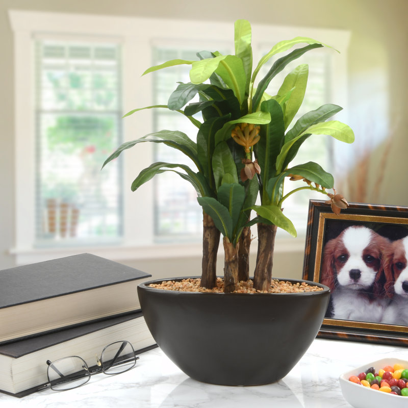 Brayden Studio® 16�� Artificial Banana Leaf Plant in Pot