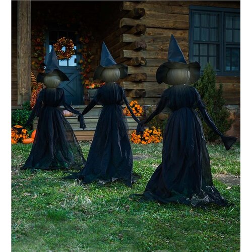 Plow & Hearth Lighted Halloween Witch Garden Stake & Reviews | Wayfair