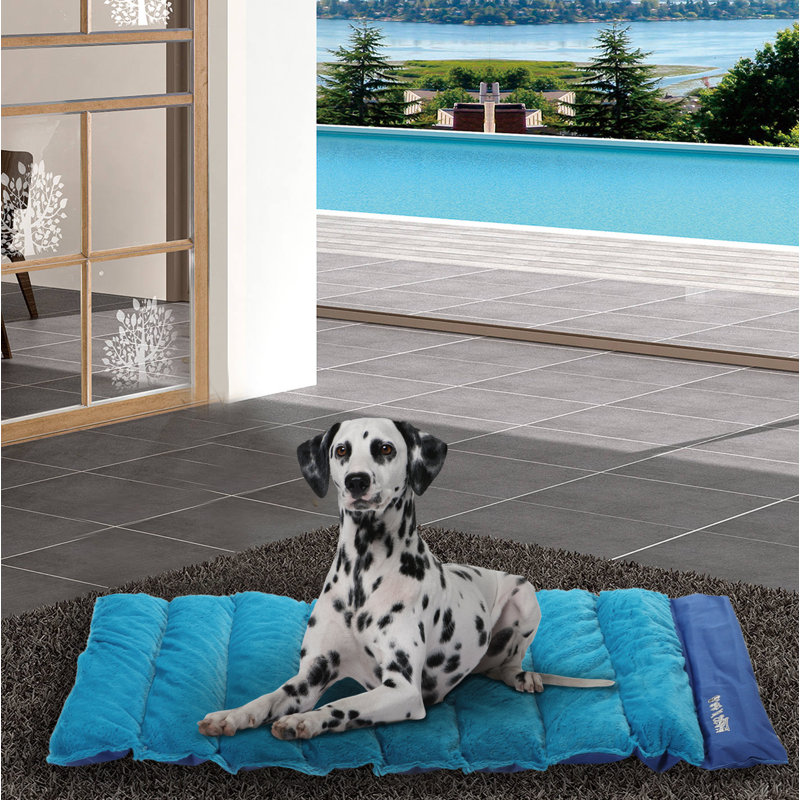 Tucker Murphy Pet Brann Roll Up Travel Portable Pet Mat Wayfair