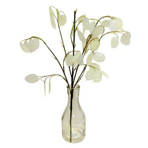 Silver Dollar in Glass Vase