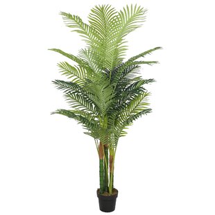 3 ARTIFICIAL 3' PHOENIX PALM TREE PLANT SILK BUSH POOL PATIO DECK ARRANGEMENT 
