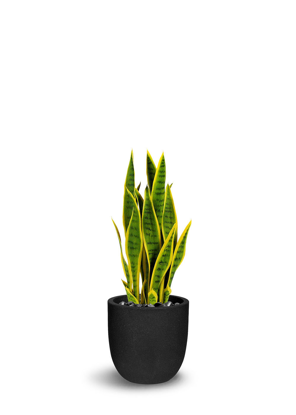 World Menagerie Artificial Snake Plant in Pot & Reviews Wayfair