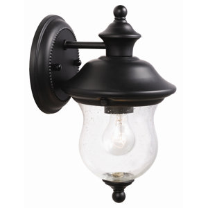 Eugenie 1-Light Outdoor Sconce