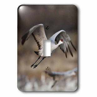 Crane Birds Wayfair