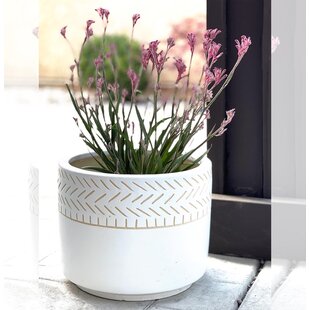23 Liter Wave Pattern High Quality - Plastic Gardening Flower Plant Herb Pot 