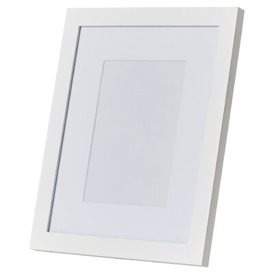 Imane Matted Leaner Picture Frame Reviews Allmodern