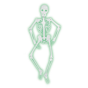 Halloween Mr. Bones-A-Glo Skeleton