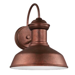 Elianna Traditional 1-Light Outdoor Barn Light