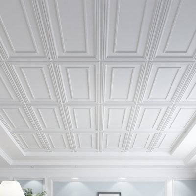 4 ft. x 2 ft. Drop-In PVC Ceiling Tile