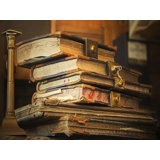 Old Books Decor Wayfair