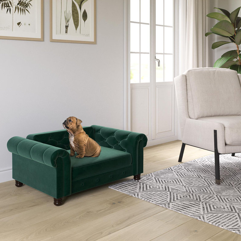 17 green ways for St. Patrick's Day | Isla Dog Sofa | Eat. Drink. Work. Play.