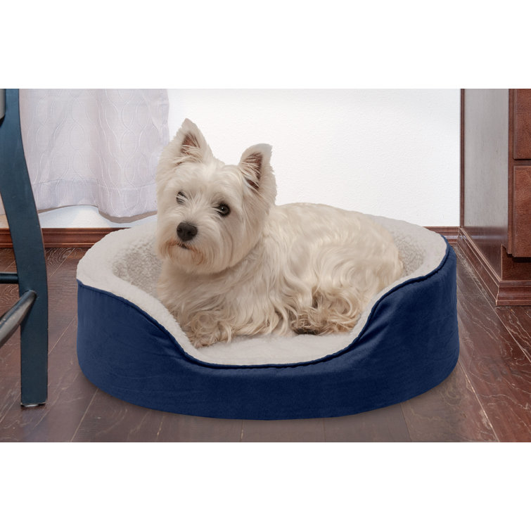 bunty dog bed