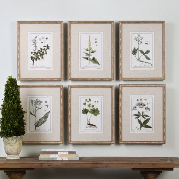 Three Posts Floral Botanical Study By Grace Feyock 6 Piece Picture Frame Graphic Art Print Set On Paper Reviews Wayfair