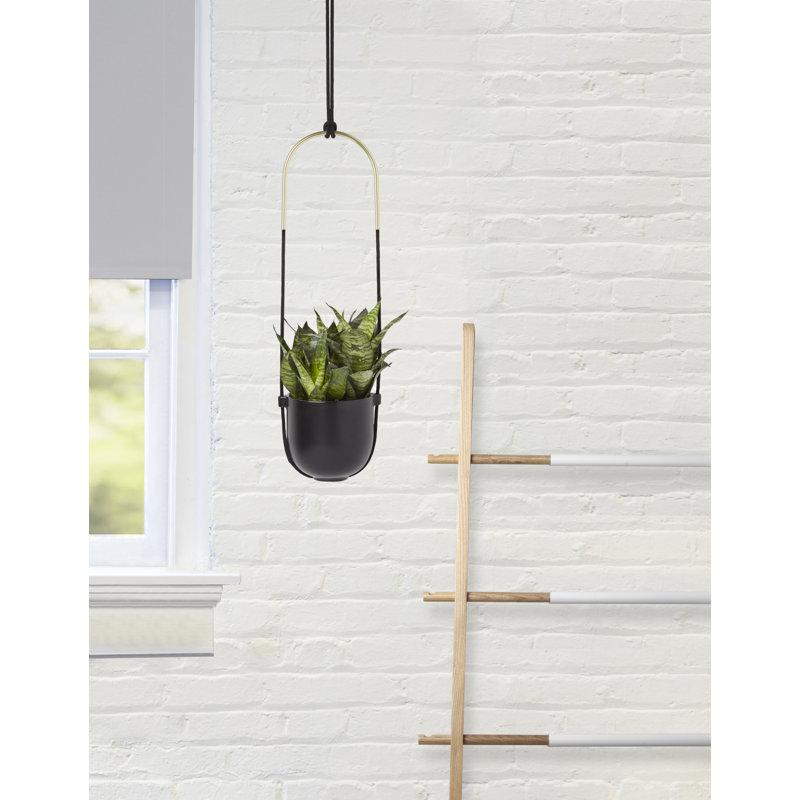 Umbra Bolo Hanging Planter Reviews Wayfair Ca