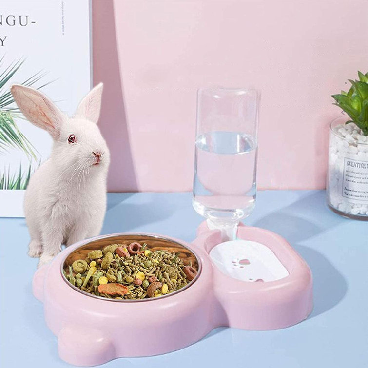 automatic bunny feeder
