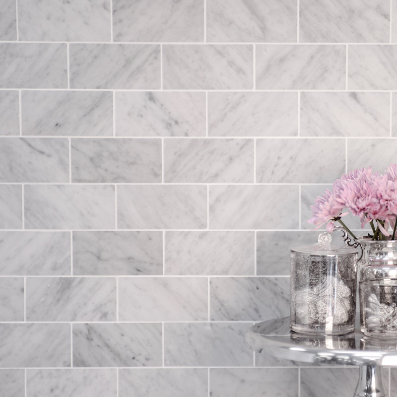 Bedrosians 3 X 12 Honed Marble Field Tile In White Carrara Reviews Wayfair