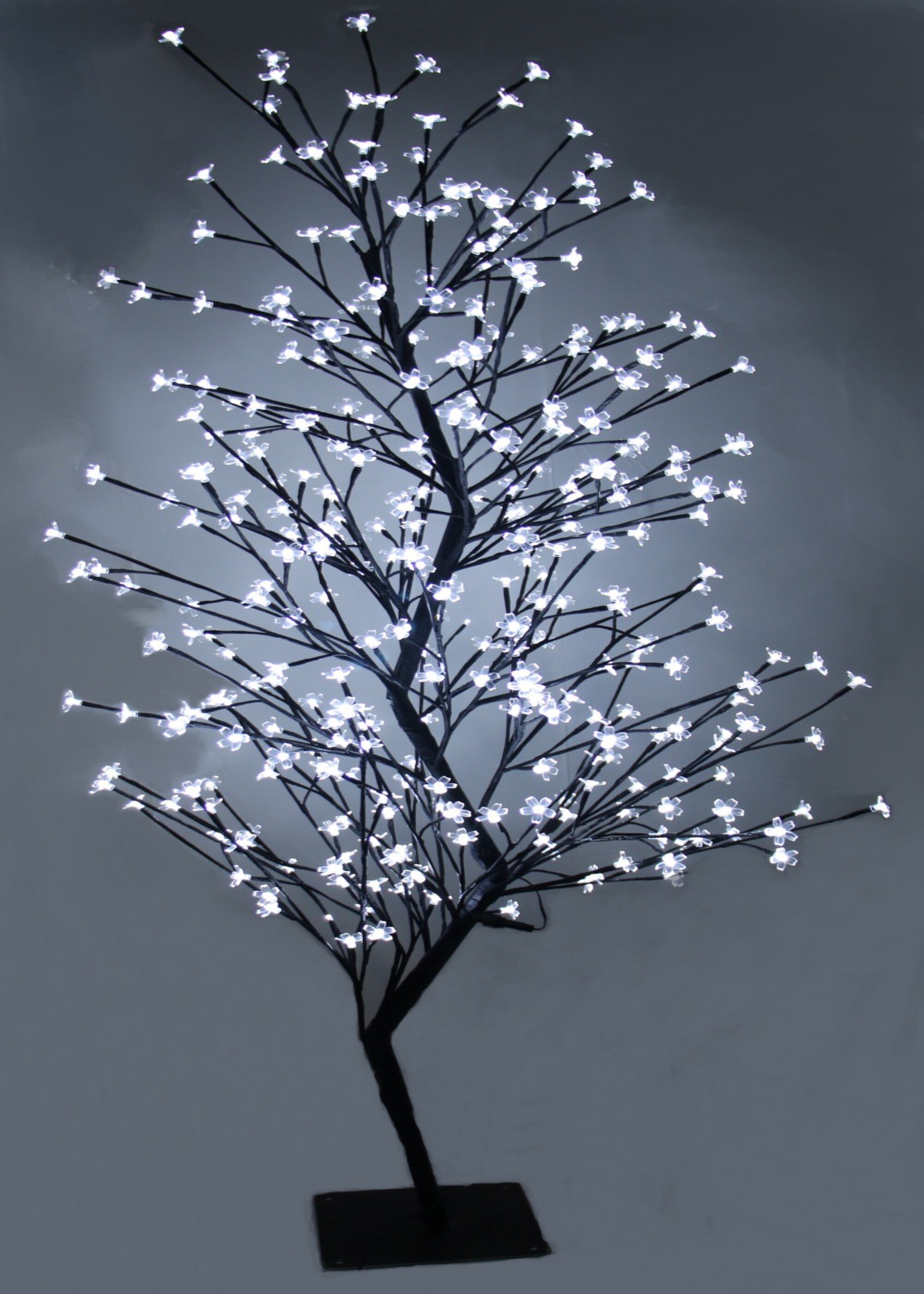 lighted outside tree